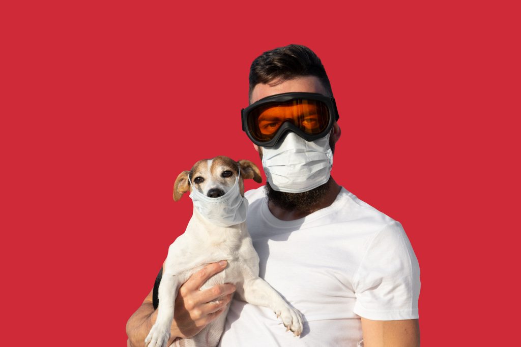 El coronavirus y los perros
