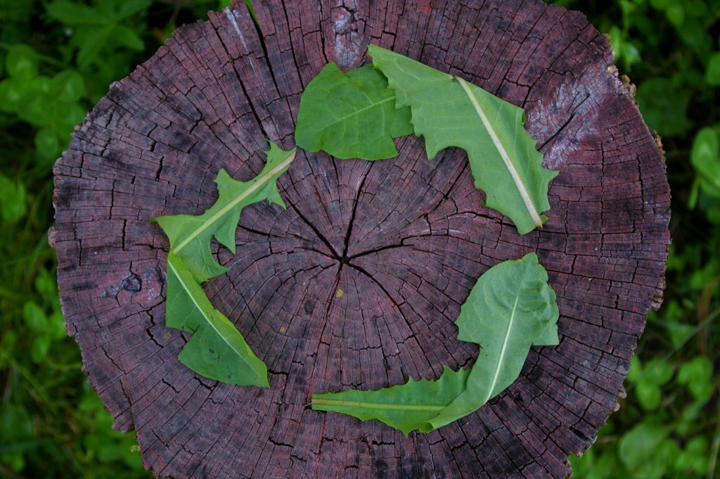 ¿Qué saber sobre la economía circular?