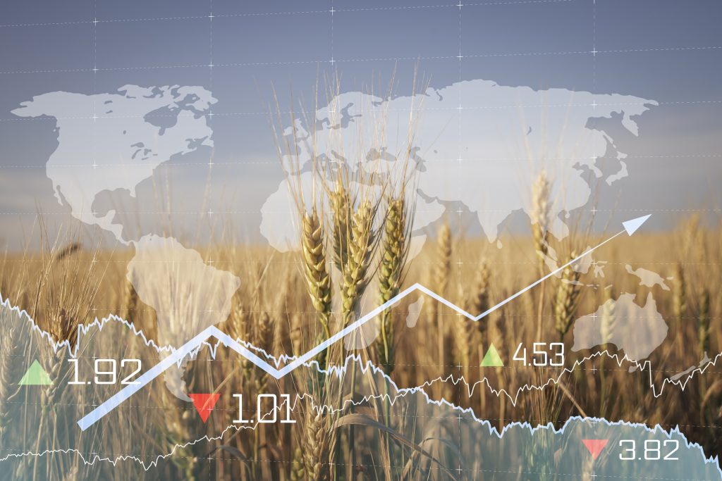 Digitalización agrícola, un camino para la inclusión social en Latam