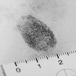 Serie "Se ha redactado un crimen"