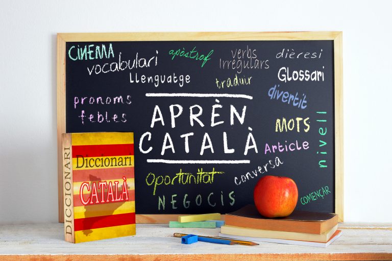 La enseñanza del catalán es constitucional, pero siempre que se garantice que los estudiantes dominan el castellano al término de la Educación Secundaria Obligatoria (ESO)
