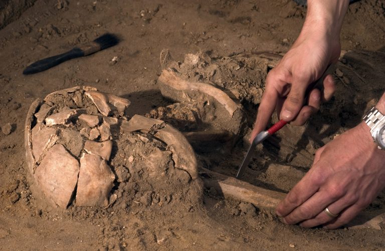 La filogenia humana se complica