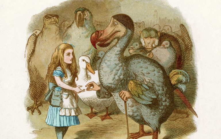 El veredicto del pájaro Dodo, o por qué cultivar el vínculo terapéutico