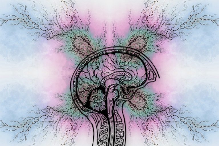 TOC, qué pasa en el cerebro de una persona con este trastorno
