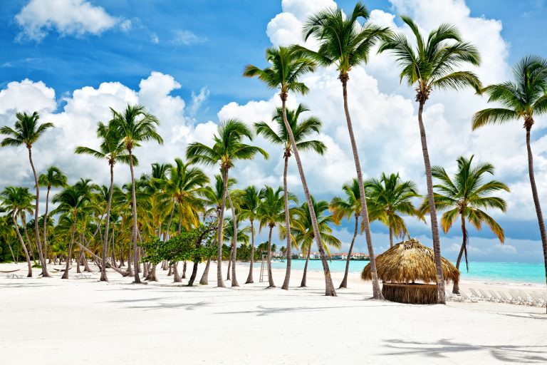 El turismo mundial se recupera a niveles prepandémicos: entre el 80% y el 95%