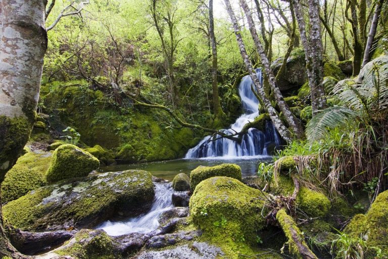 Turismo de interior en el verano posCovid19: la Ribeira Sacra