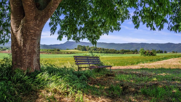 Turismo rural vs. turismo urbano: ¿Una dicotomía irreconciliable?