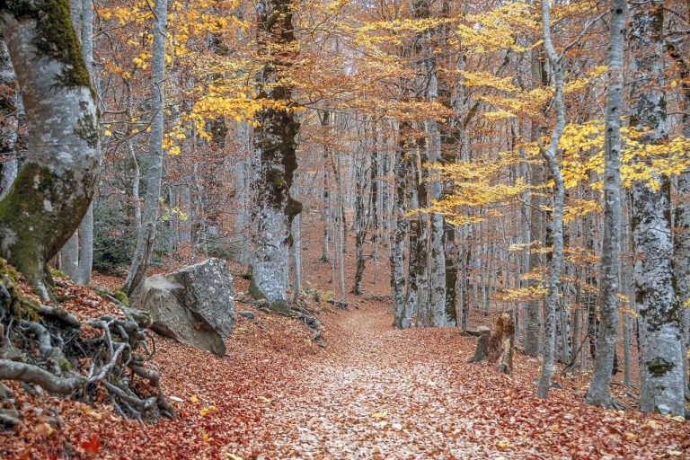 Viajar cuando nadie lo hace: la experiencia de vacaciones en otoño